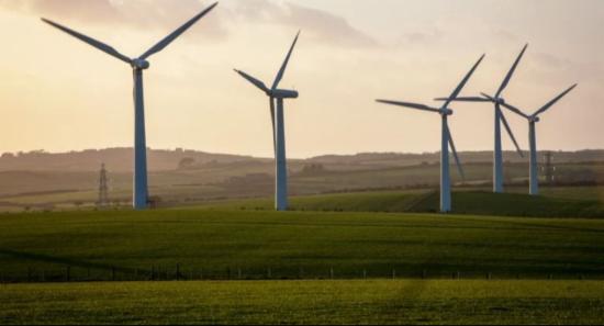 Mullikulam Projects Awarded at Record-Low Rates